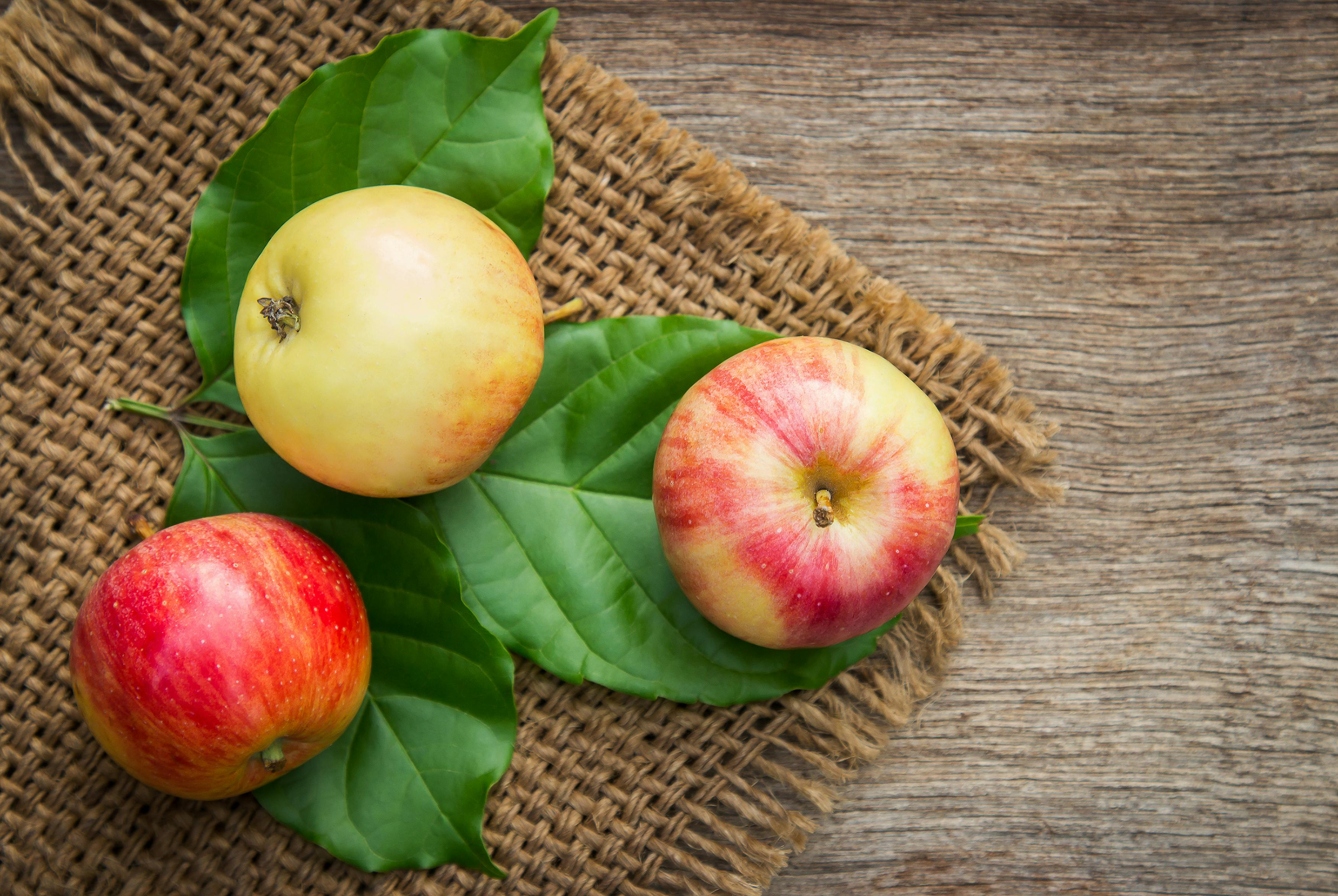 Understanding Mono Dieting: A Simple Approach to Resetting the Body