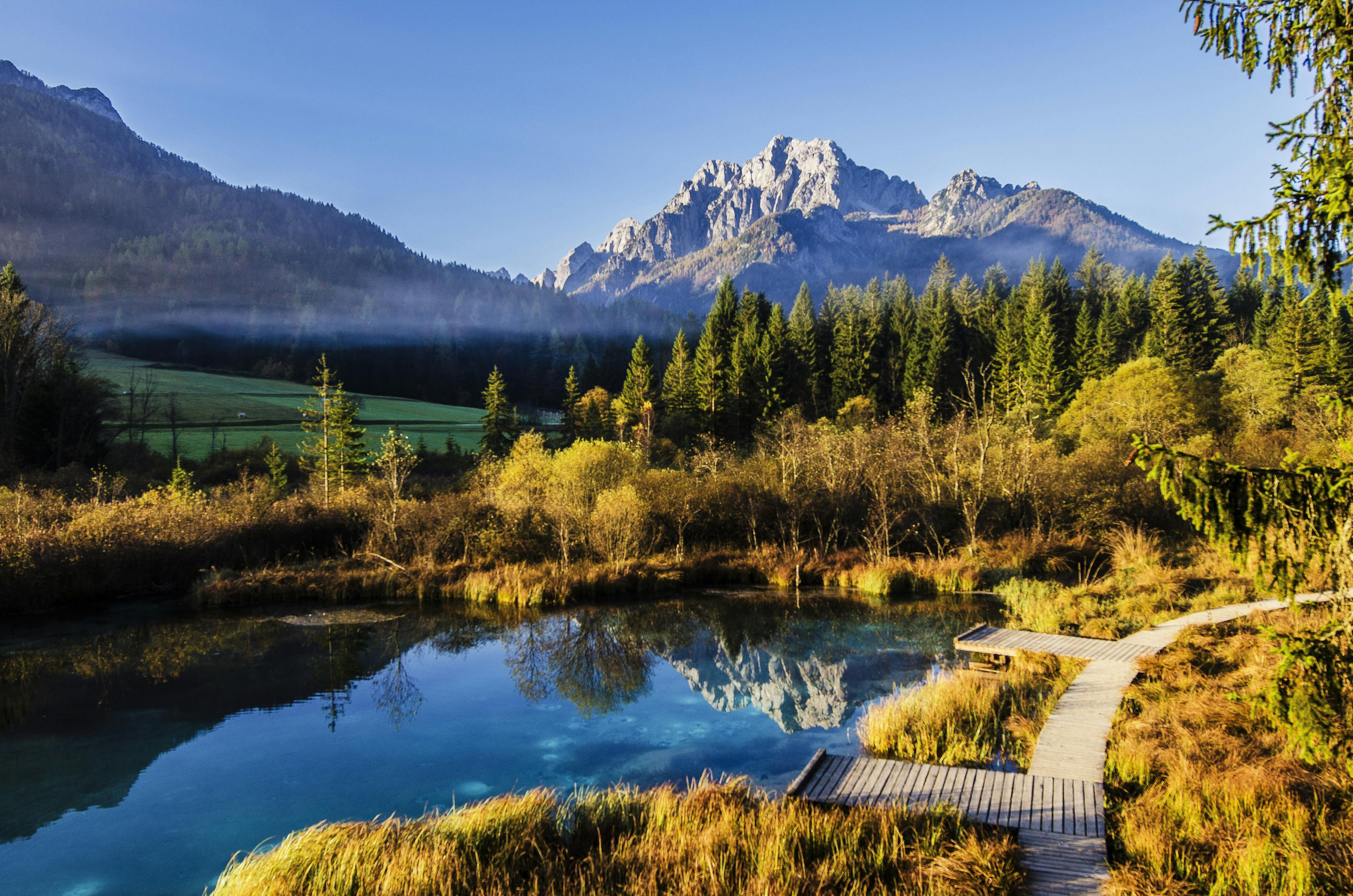 Health in Slovenia: Why This Country Ranks High in Wellness and Longevity